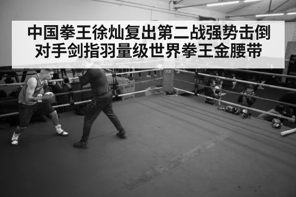 boxer training gym