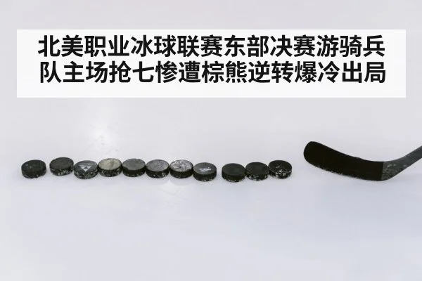 北美职业冰球联赛东部决赛游骑兵队主场抢七惨遭棕熊逆转爆冷出局